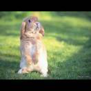 券妈妈会员: 醒目