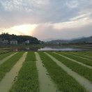 wx_春华秋实42