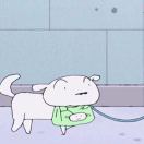 鹏弟.💕的头像-优创圈