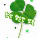 행운의 네잎 클로버