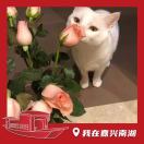 维多利亚的少女