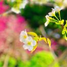 zym 四湖主人的头像-华闻时空