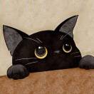 用户37328313的头像 