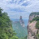 甜果无花果的头像-小果迷