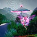 前端开发/java开发
