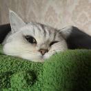 ~zZ