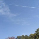 国学 报名时间：2024-04-06 07:34