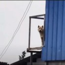 兰先生的头像