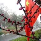 鋒利的照相機(jī)