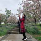 柔嘉潘美红