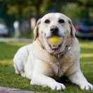 kaku的头像-手机号码查询归属地及姓名