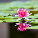 云与玥