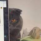 用户50335463的头像-博士钣金 - www.bsbanjin.com