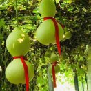 洪江的头像-归元之道