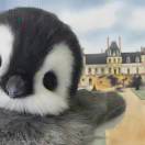 用户76505482的头像-WordPress主题模板-zibll子比主题