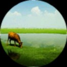 小草