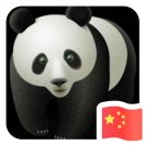 陈德全