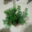 真实的人的头像-澳门国际