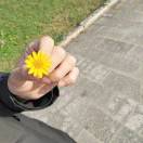 用户89144850的头像 