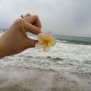 阿全
