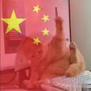 Still i rise的头像
