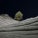 jeffwangjue16