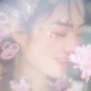 木槿花開了