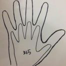 清茶的个人空间