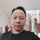 受傷的貓