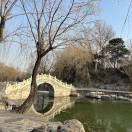 刘瑞丽