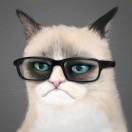 zsha's Avatar