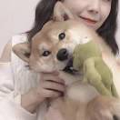 《泡沫》改编版