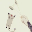 null转租&房东直租