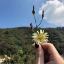 余生很长`不必慌张
