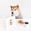 傲战的头像-小哥网