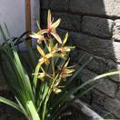 陈志强 13262110415