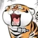 朱六石
