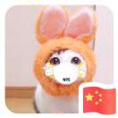 许先生