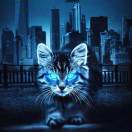 月はすべて摘める的头像-流年日记