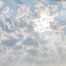 马骁🐯另一只老虎🐯