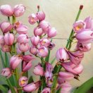 龙岩添美贸易有限公司