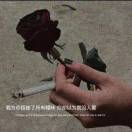 胡先生的头像