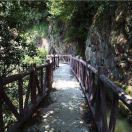觉岸