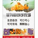 杨坤