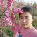 霖烁的头像-宋播播带货工作室