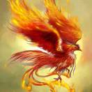 艾啸林(工程清包)