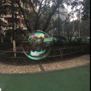 小七哥