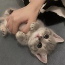 薛先生的头像