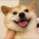 马帅