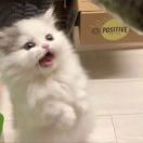 7777的头像 - 校园论坛